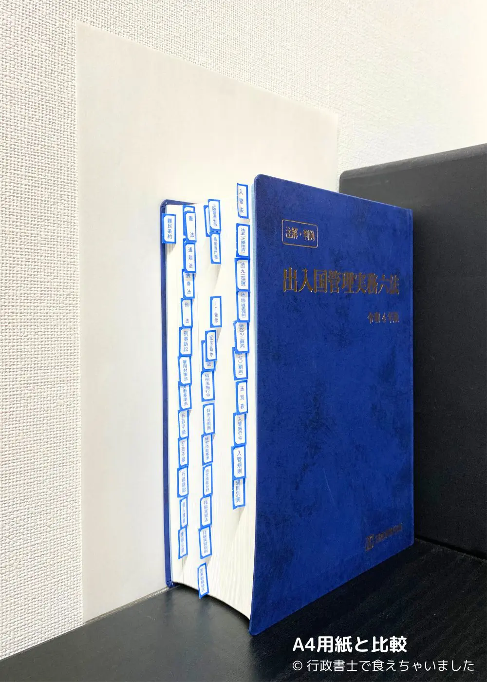 行政書士向け入管実務書セット 永住 帰化 国際結婚 行政書士の実務帰化・永住・在留許可申請業務 | 木本博之 |本 | 通販